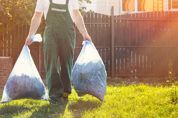 Best Electronics Removal Services  in Cibolo, TX